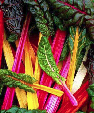 chard swiss vitality nutrition